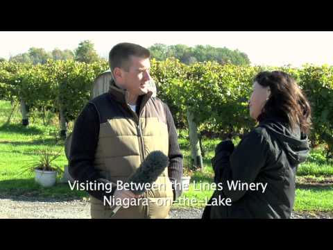 download lagu mp3 mp4 Between The Lines Winery, download lagu Between The Lines Winery gratis, unduh video klip Between The Lines Winery