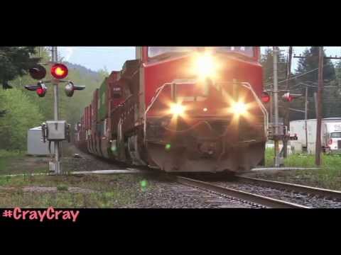 Honey Badger Sings: CrayCray Train (Ozzy Osbourne)