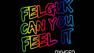 Felguk - Can You Feel It