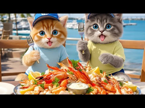 🐾Two Cats at the Marine Resort Miami – Hilarious Duo Doing Human Things 🎉😹