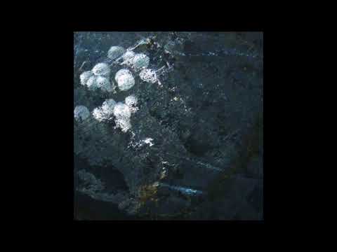 Rrose - Having Never Written a Note for Percussion (Live at Dupont Underground) [FUR099]