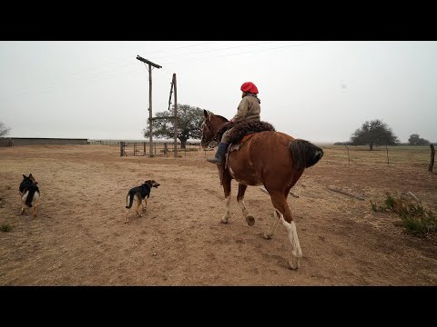 100 Martina Gil 2020 (block 2) Stays and Traditions