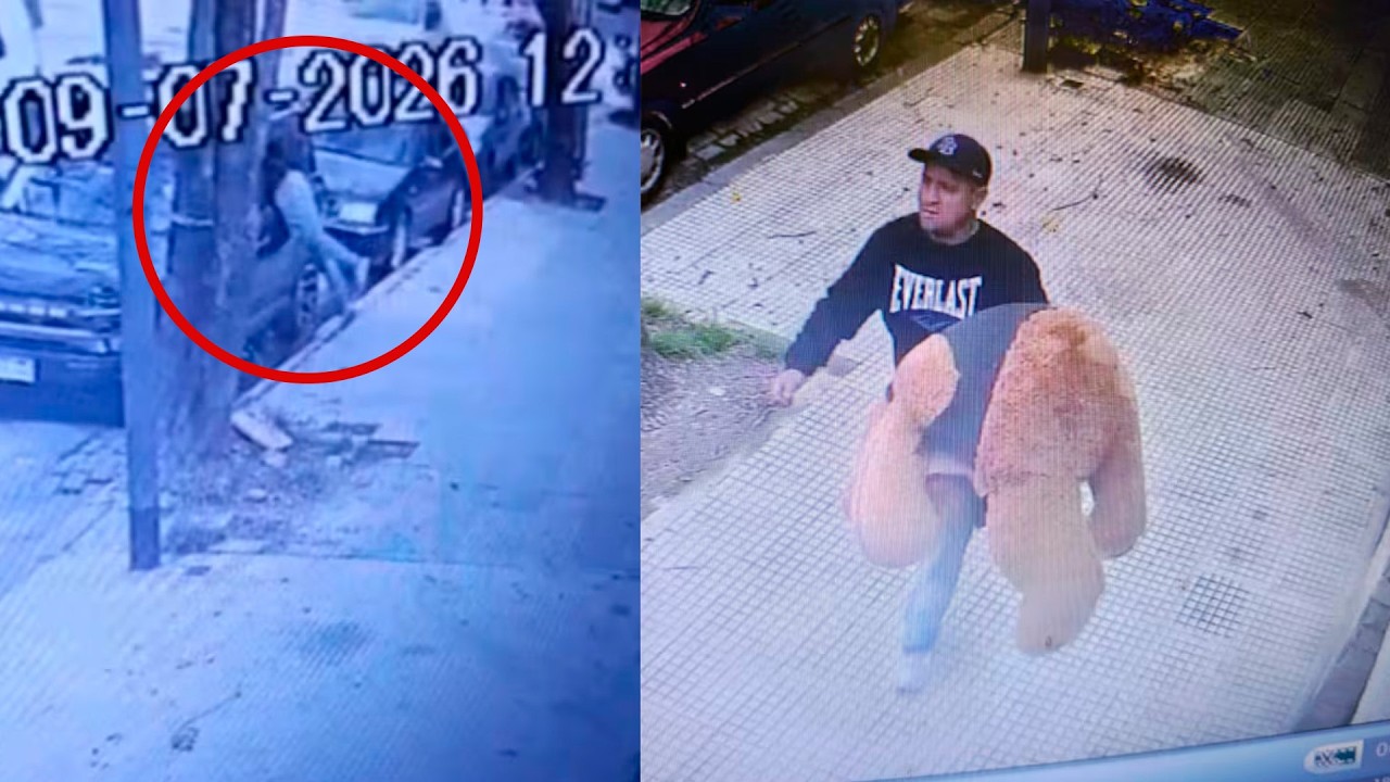 Insólito: vio la ventanilla abierta de un auto y se robó un peluche gigante