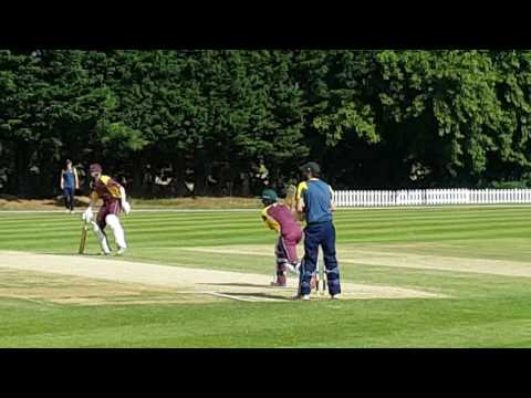 T20 regional finals day 7th August 2016(17)