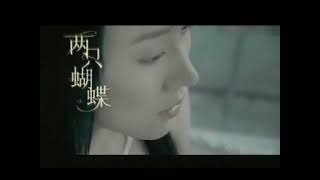 [庞龙] 两只蝴蝶 - 原版