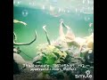 Thabangale 96 Movie