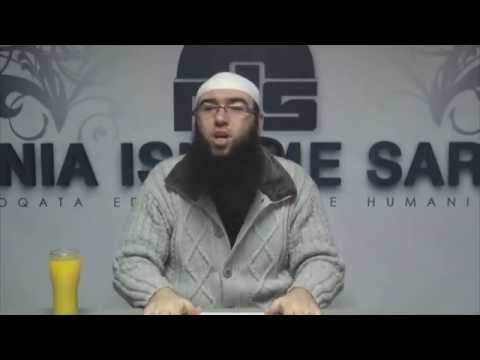 Përleshja e qenve në mes vete - Omer Bajrami