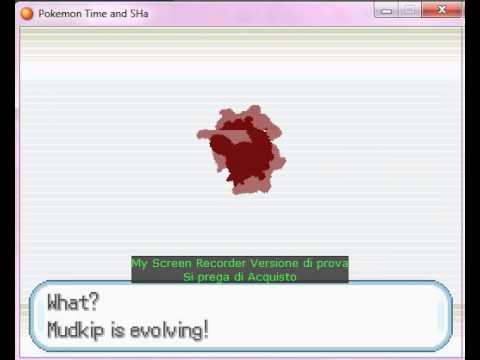 Prima palestra e evoluzione di mudkip