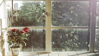 The window - Elisa (Dilly&#39;s cover)