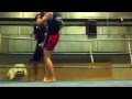 Incontro kickboxing [scorpio team] venezia 