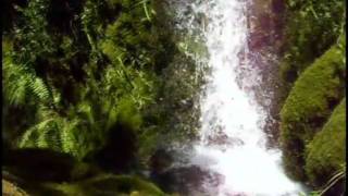 A Song For All Lovers