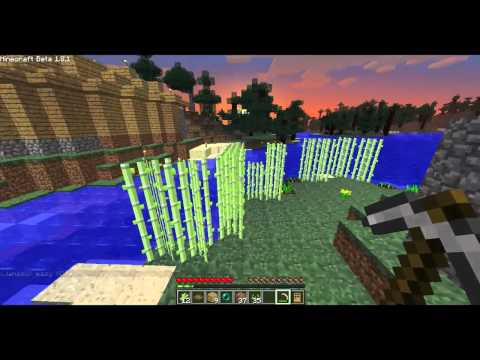 Minecraft seikkailut - Erityisvieras! [osa 14]