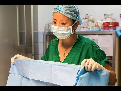 ORH Meet the Team  - Dr Sandee Tan