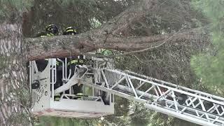rami-pericolanti-ad-ariano-l-intervento-dei-vigili-del-fuoco