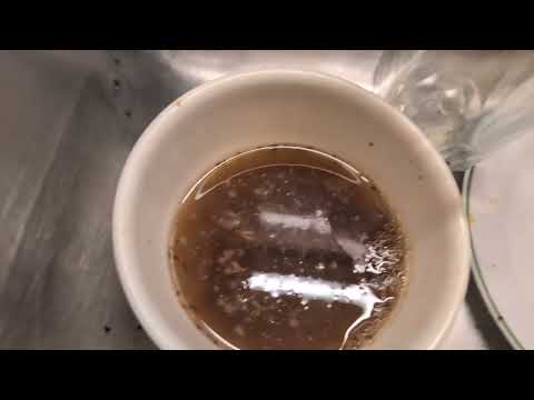 Week Old Dishes Causes Fruit Fly Infestation in Howell, NJ