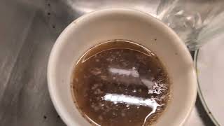Watch video: Week Old Dishes Causes Fruit Fly Infestation...