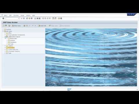 SAP Basic Navigation