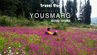 Kashmir's Best-Kept Secret & Unveiling Nature's Masterpiece in Kashmir 🔥