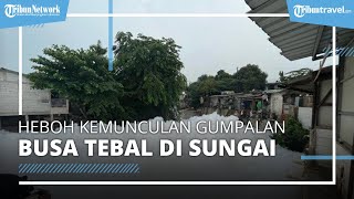 Gumpalan Busa Cemari Sungai di Depok hingga Tutupi Rumah Warga, Keluarkan Bau Tak Sedap