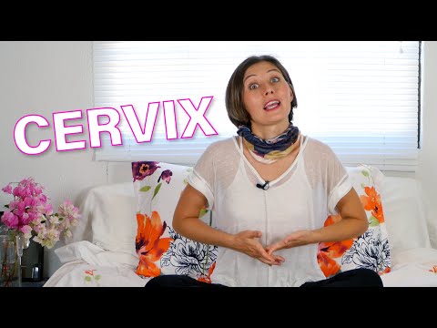 What’s the cervix? How do you stimulate it?