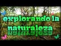 Explorando La Naturaleza 1