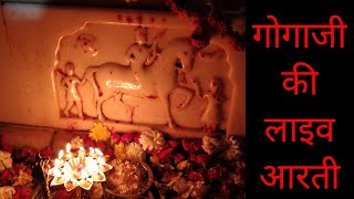 गोगाजी की लाइव आरती, पहले कभी नहीं देखी होगी