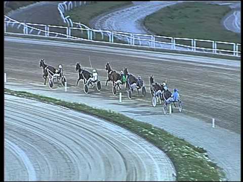 Trotto 11/03/2016 - prova di qualifica