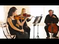 Pachelbel - Canon in D - Subito Strings String Quartet
