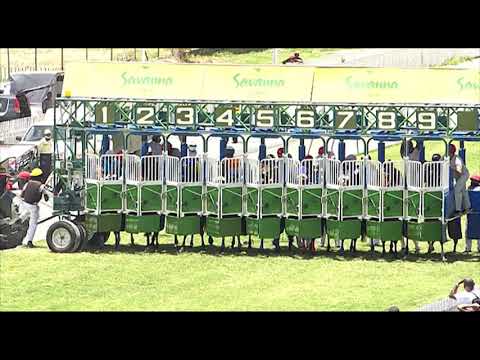 RM31 R1 | Misty Roller | A.Sonaram