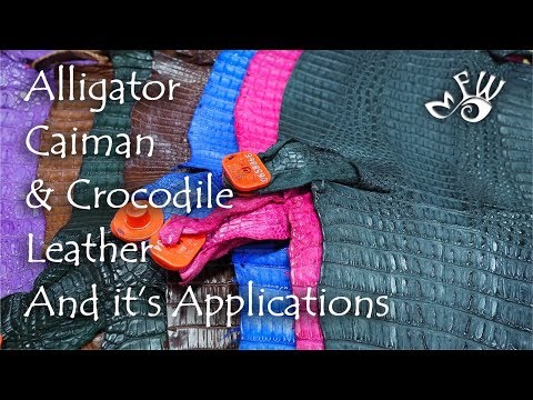 download lagu mp3 mp4 Crocodile Faux Leather, download lagu Crocodile Faux Leather gratis, unduh video klip Crocodile Faux Leather