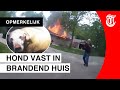 Agent filmt bijzondere actie met bodycam