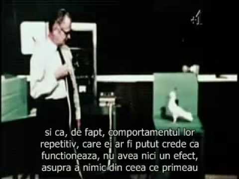 derren brown trick or treat series Experimentul lui Skinner (partea 1)