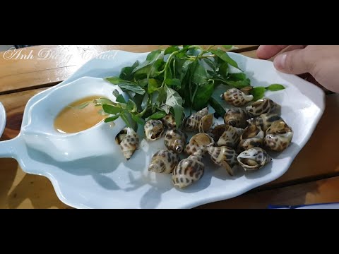 Review quán ốc ngon và rẻ nhất Vũng Tàu - Ốc Bao La | Ăn gì ở Vũng Tàu? | Quán ăn ngon nhất Vũng Tàu