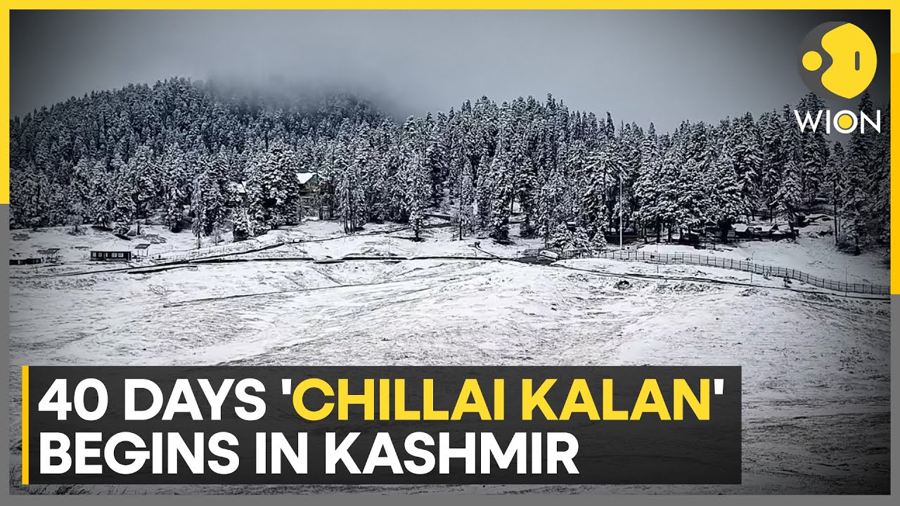 Kashmir Enters Harsh Winter Phase, Chillai Kalan Ends Dry Spell in Sub-Zero Temperatures | WION News
