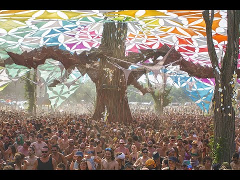 Sonic Species at Ozora Festival