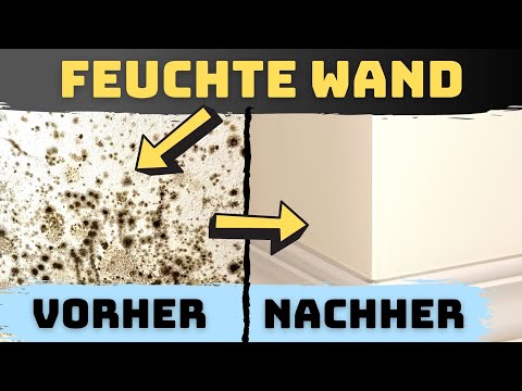 Dry out damp walls – make your own horizontal barrier!