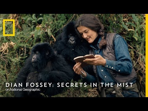 Official Trailer | Dian Fossey: Secrets In The Mist | National Geographic UK