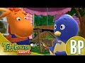 Os Backyardigans Desenho Animado Aventura De Piratas Compilaçào De 70 Mins Para Crianças