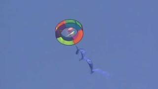 Flying Toys Kitebird UFO Kite