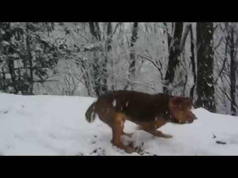 primi fiocchi per Lucia!!!