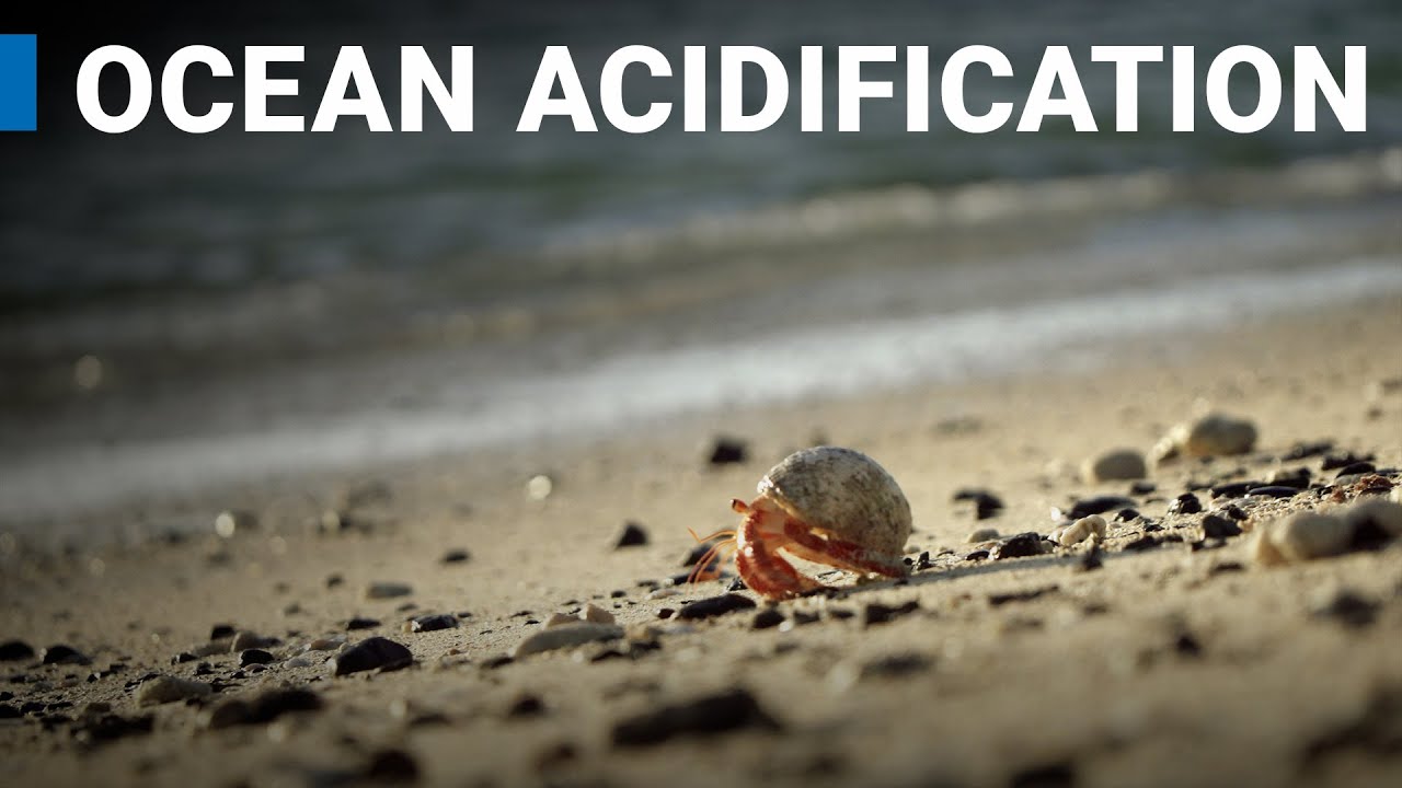 Ocean Acidification