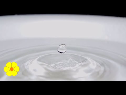 Single Drop of Water Falls in a Bucket - Water Drops - Water Dripping Slowly in a Tub - Relax Sounds