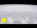 Single Drop Of Water Falls In A Bucket Water Drops Water Dripping Slowly In A Tub Relax Sounds