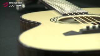 Breedlove Guitars: The Master Class Sparrow
