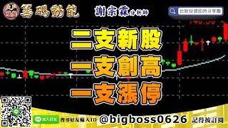 【大戶羅盤籌碼動能】 #謝宗霖1004，二支新股 一支創高 一支漲停 (圖)