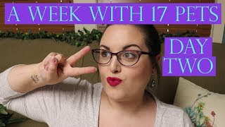 A Week In My Life With 17 Pets | Day Two - TUESDAY