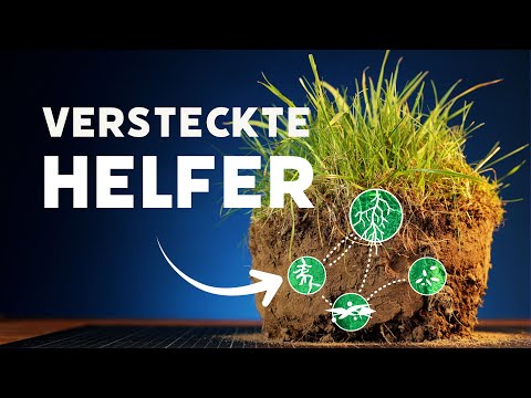 Wie uns das Leben im Boden helfen kann