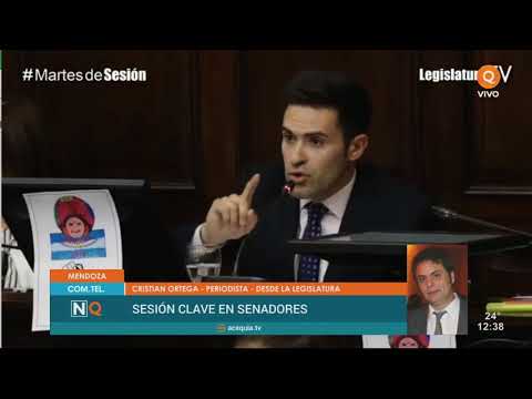 Sesión clave en Senadores: súper martes en la Legislatura