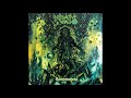 Negative Wall Gammagelu Full Album 2019