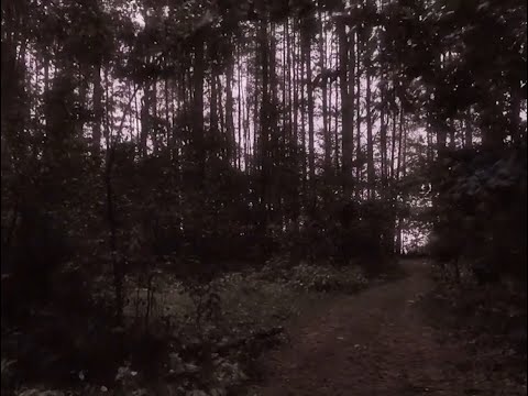 [FREE] sewerperson x guardin x emo type beat "fooled by blindness" [secre + babieyummo]